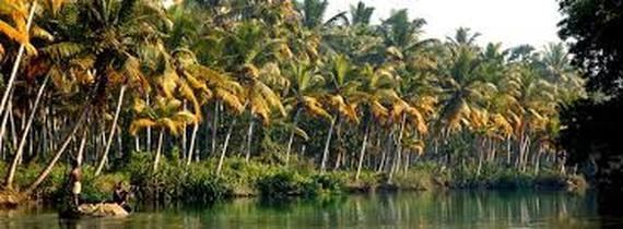 Malabar Coast Malabar Coast PHYSICAL FEATURES OF INDIA