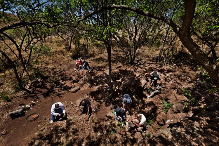 Malapa Fossil Site, Cradle of Humankind AahAfrika Packages