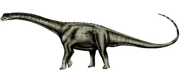 Malarguesaurus imagesdinosaurpicturesorgMalarguesaurusdinosau