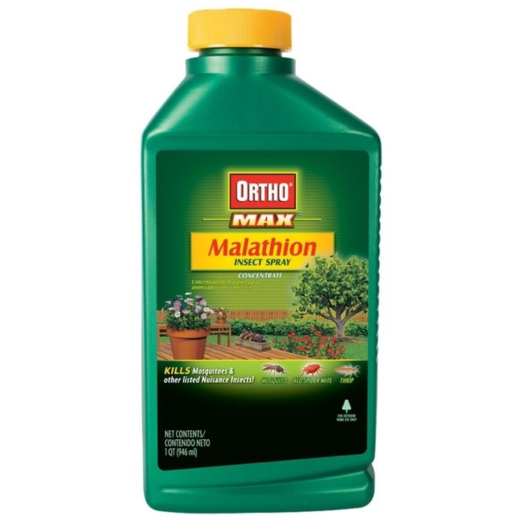 Malathion Ortho 1qt Malathion Insect Spray 0166610 Ready To Use Products