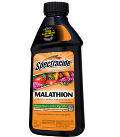 Malathion Spectracide Malathion Insect Spray Concentrate Spectracide