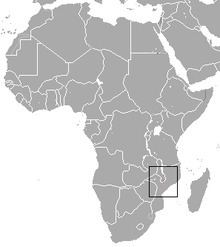 Malawi bushbaby httpsuploadwikimediaorgwikipediacommonsthu