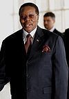 Malawian general election, 2009 httpsuploadwikimediaorgwikipediacommonsthu