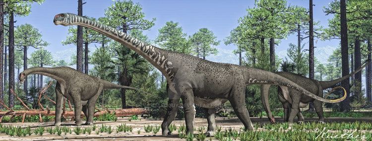 Malawisaurus Malawisaurus by PaleoGuy on DeviantArt
