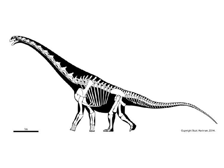 Malawisaurus imagesdinosaurpicturesorgMalawisaurus6427jpg