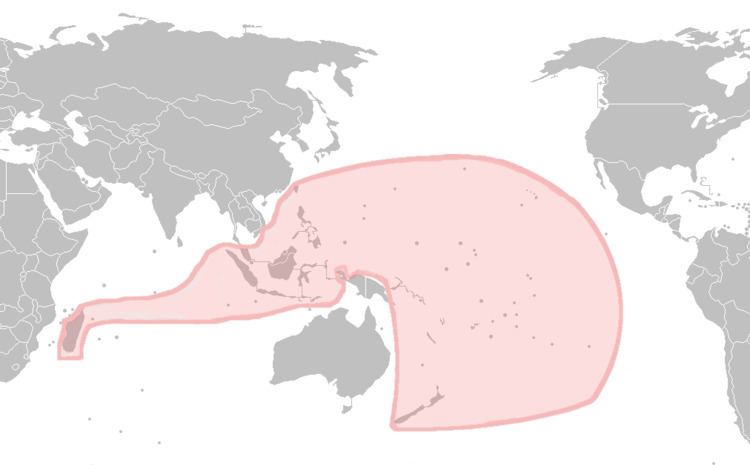 Malay race