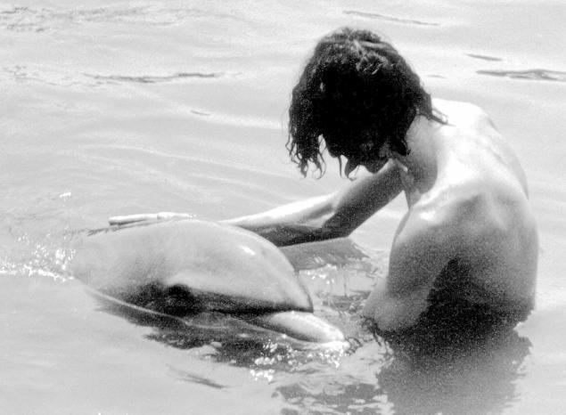 Malcolm Brenner Man shares details of sexual relationship with dolphin