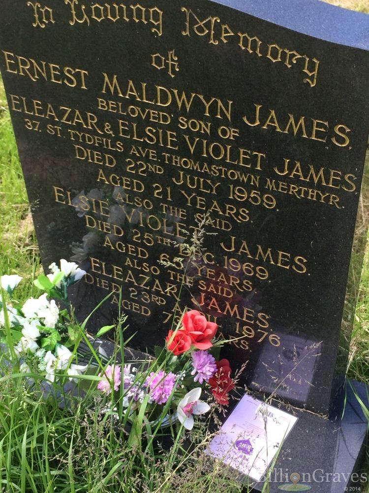 Maldwyn James Grave Site of Ernest Maldwyn James 1959 BillionGraves