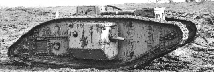 Male tank