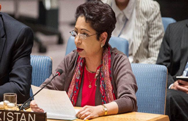 Maleeha Lodhi Maleeha Lodhi stresses delinking terrorism from religion Daily