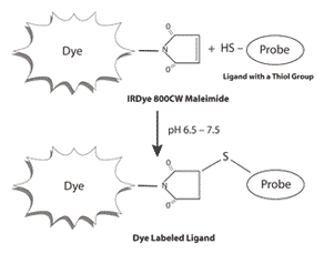 Maleimide NearInfrared Fluorescent Dye Maleimide Derivatives