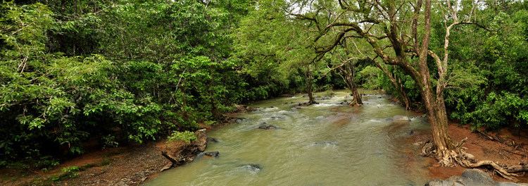 Malenadu Journey of life Monsooned Valleys of Malenadu