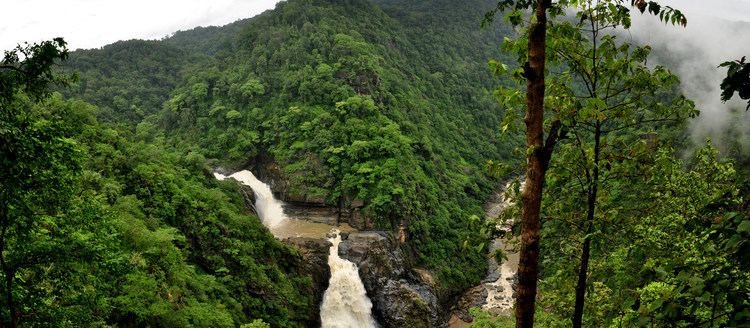 Malenadu Journey of life Monsooned Valleys of Malenadu