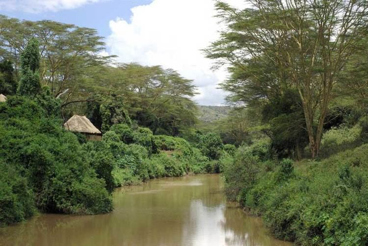 Malewa River wwwafricadiscoverycomkenyaimagesMalewaWildl