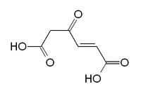 Maleylacetic acid httpsuploadwikimediaorgwikipediacommonsthu