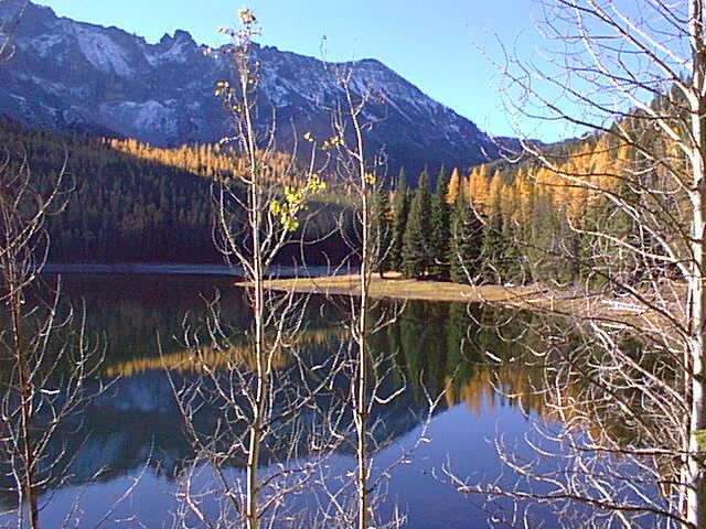 Malheur National Forest httpsuploadwikimediaorgwikipediacommonsbb