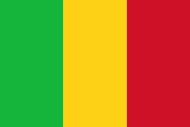 Mali at the 2016 Summer Paralympics