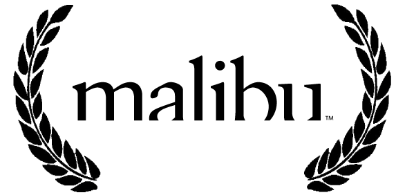 Malibu Film Festival httpsstaticwixstaticcommediaa9162379bd6a73