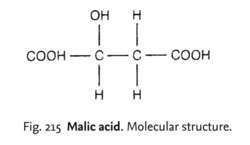 Malic acid Malic acid definition of malic acid by Medical dictionary