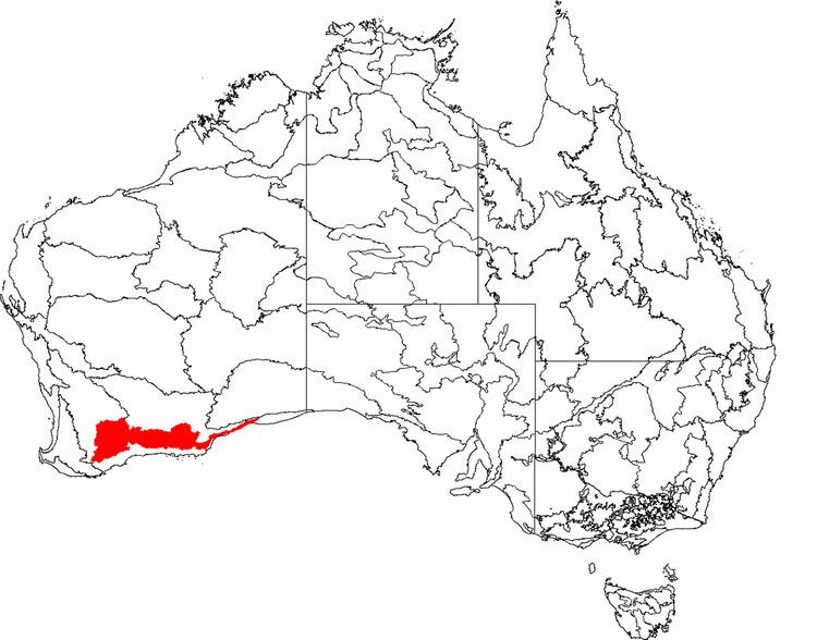 Mallee (biogeographic region)