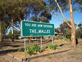 Mallee (Victoria) httpsuploadwikimediaorgwikipediacommonsthu