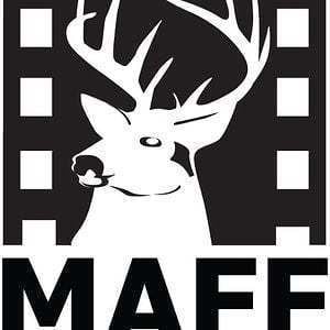 Malmö Arab Film Festival httpsivimeocdncomportrait2234872300x300