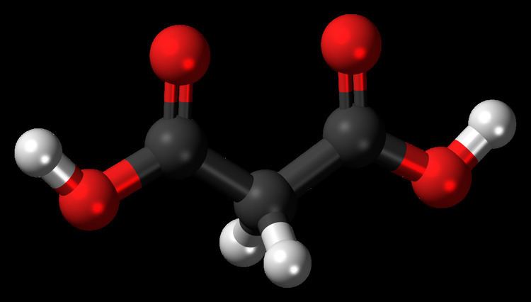 Malonic acid Malonic acid Wikipedia