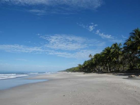 Malpais, Costa Rica The 5 Best Hotels in Mal Pais Costa Rica with Pictures TripAdvisor