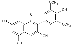 Malvidin Malvidin chloride ALX385013 Enzo Life Sciences