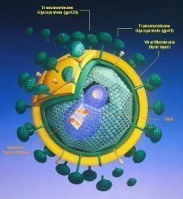 Mamavirus Researchers Even Viruses Get Viruses
