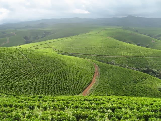 Mambilla Plateau hotelsngtravelcontentimages201602mambillajpg
