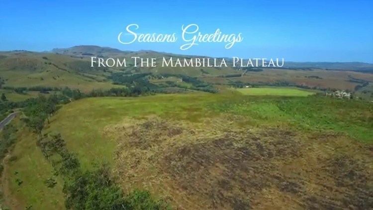 Mambilla Plateau Seasons Greetings from the Mambilla Plateau YouTube