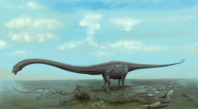 Mamenchisaurus Mamenchisaurus Facts and Pictures