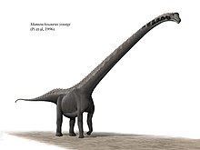 Mamenchisaurus Mamenchisaurus Wikipedia