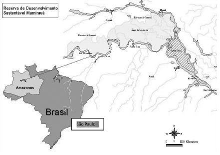 Mamirauá Sustainable Development Reserve Dementia e Neuropsychologia