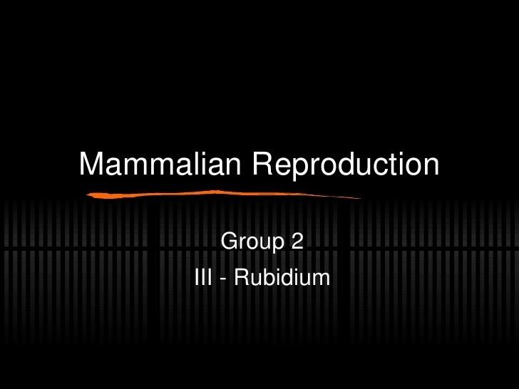 Mammalian reproduction httpsimageslidesharecdncommammalreproduction