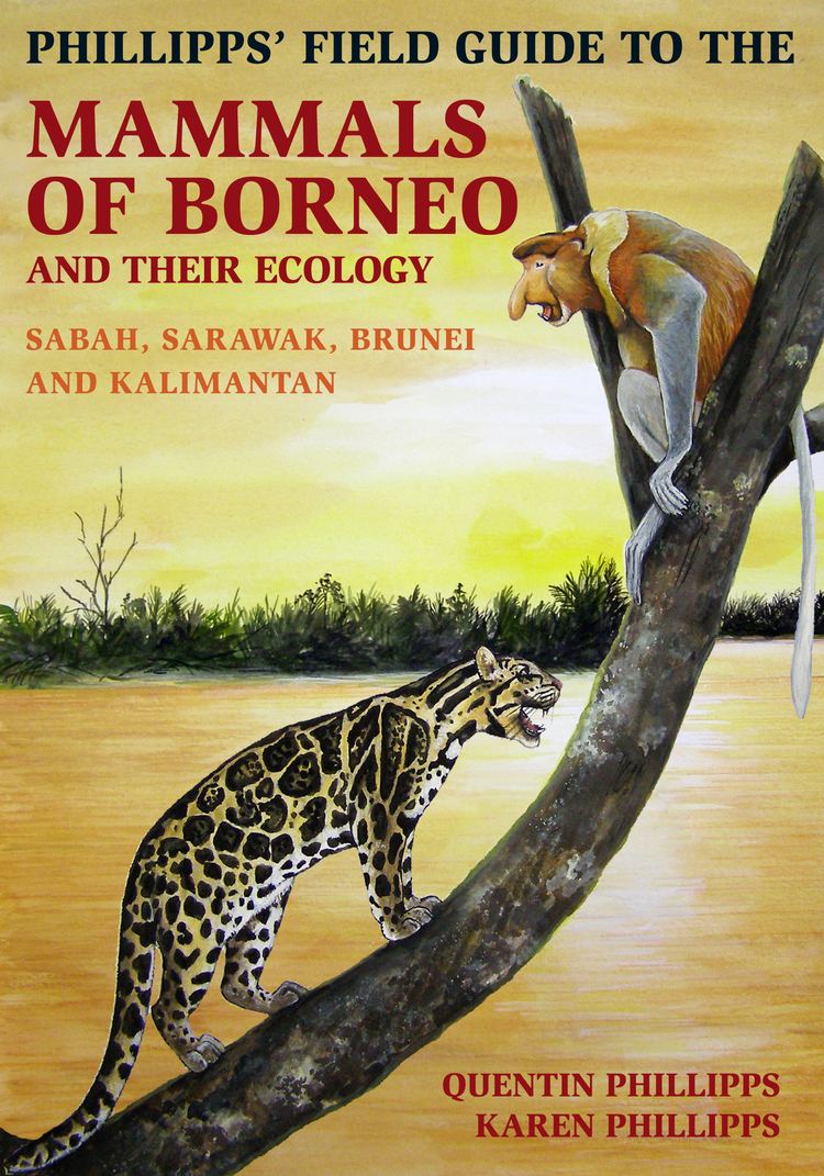 Mammals of Borneo johnbeaufoycomwpcontentuploads201309Mammals