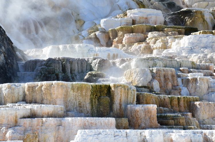 Mammoth Hot Springs Our National Parks Mammoth Hot Springs offers vivid displays