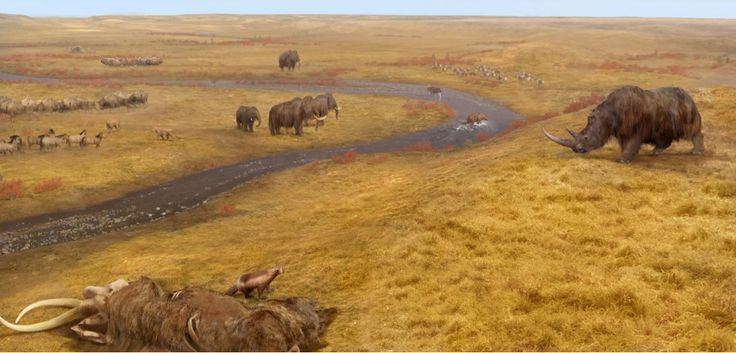 Mammoth steppe The Flora and Fauna of the Siberian Mammoth Steppe by Franziska