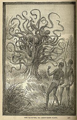 Man-eating tree httpsuploadwikimediaorgwikipediacommonsthu
