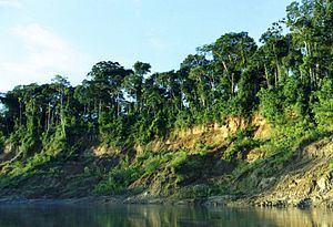 Manú River httpsuploadwikimediaorgwikipediacommonsthu