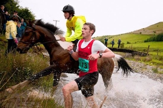 Man versus Horse Marathon Battle of the species a marathon with a difference Honi Soit