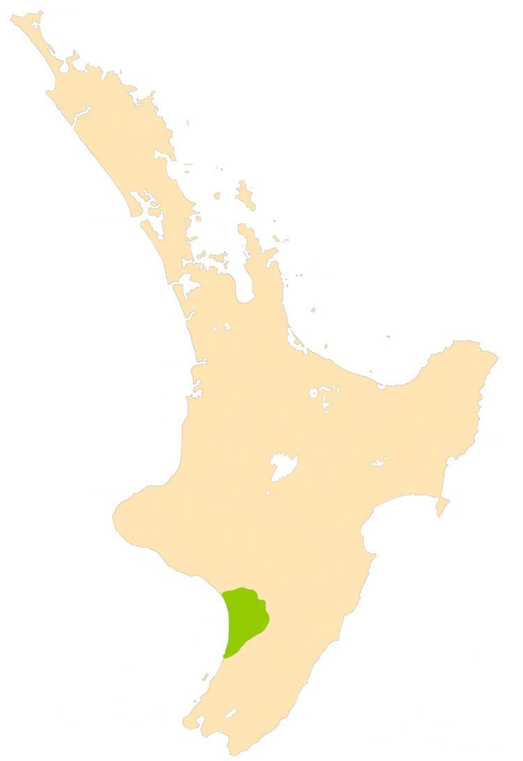 Manawatu Plains