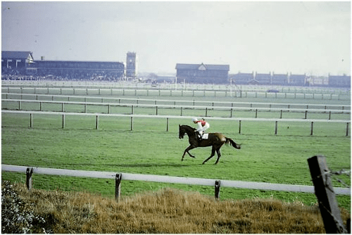 Manchester Racecourse MEMORIES OF MANCHESTER RACECOURSE IN SALFORD Salford Star with