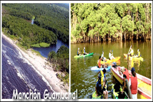 Manchón-Guamuchal Reserva Natural Manchn Guamuchal DEGUATEcom