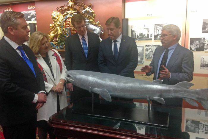 Mandageria Sharpfanged fish fossil Mandageria Fairfaxi becomes New South Wales
