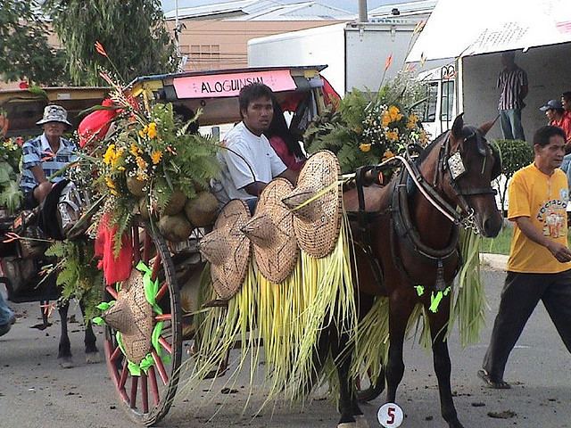 Mandaue Festival of Mandaue