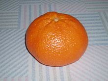 Mandora (fruit) httpsuploadwikimediaorgwikipediacommonsthu
