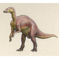 Mandschurosaurus John Sibbick Illustration
