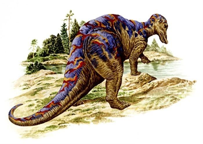 Mandschurosaurus Mandschurosaurus Pictures amp Facts The Dinosaur Database
